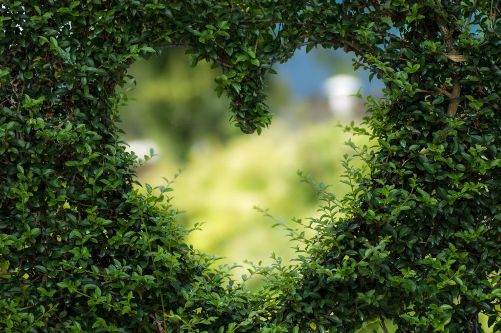 Love is Bold