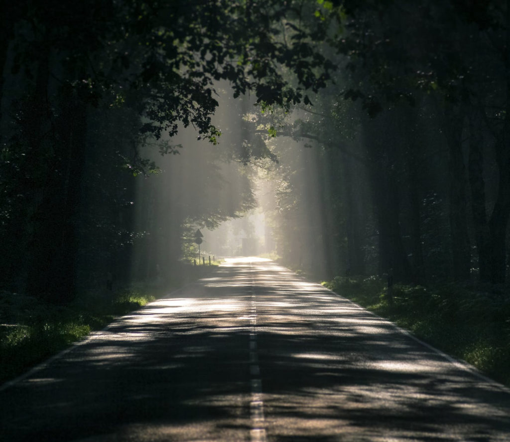 The Way of The Lord by Rev David R Orgen