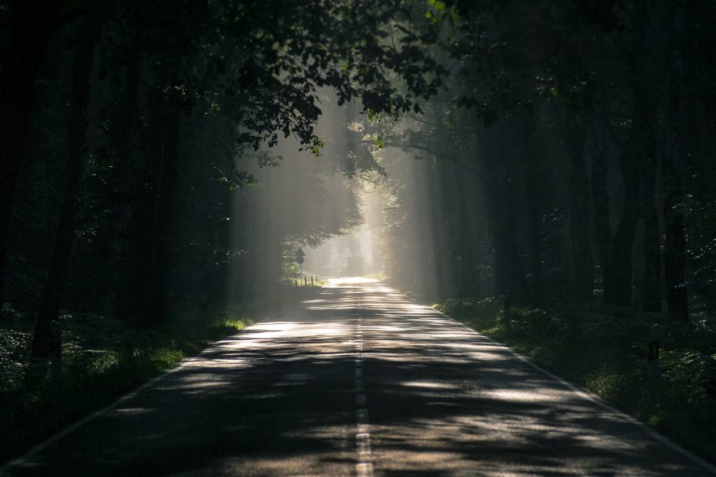 path that leads to life - Rev David Orgen