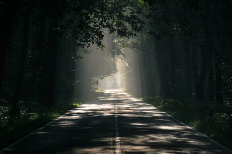 path that leads to life - Rev David Orgen