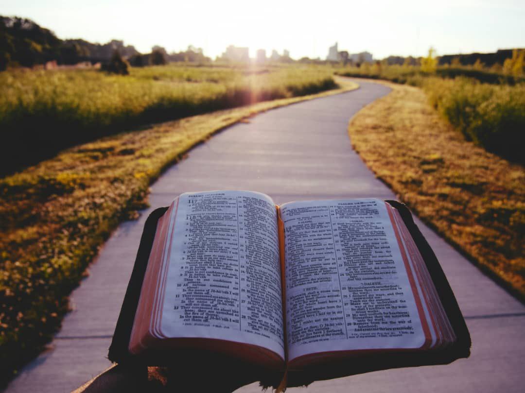 Grace On The Shore, Light on the Road.