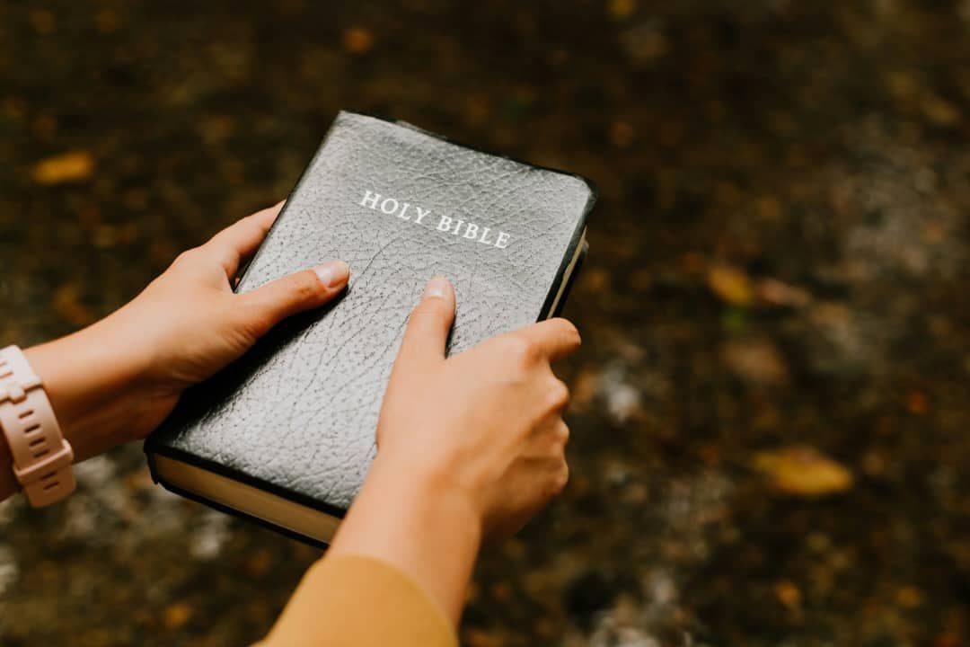 Rooted, Redeemed and Reconnected
