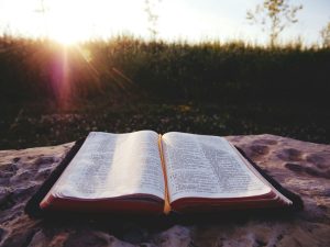 Faithful Stewards In Trouble Times